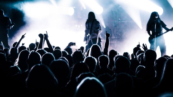 Festival Security Planning Checklist for Organisers and Venues